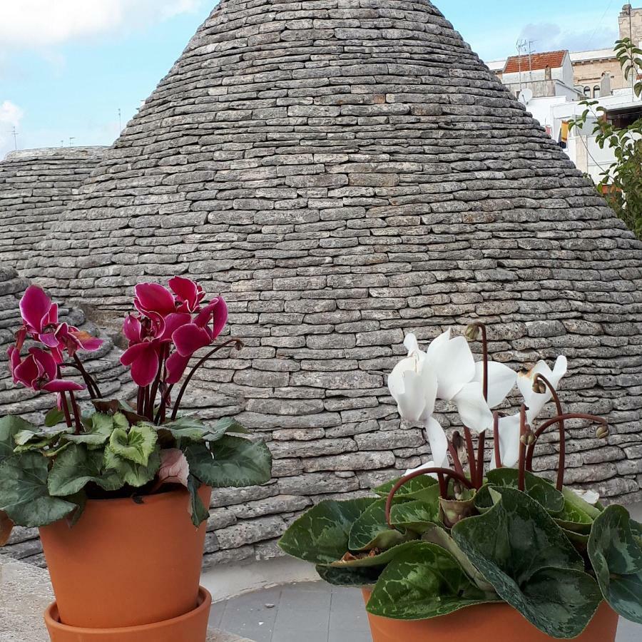 Villa Historich House Largo Martellotta 44 Alberobello Exterior foto
